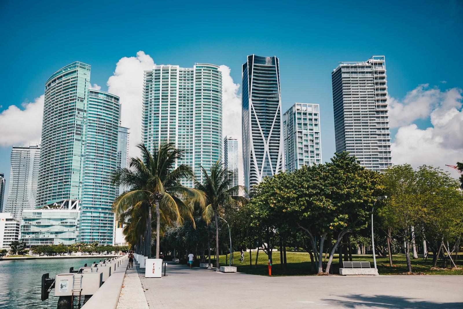 Miami skyline and palm trees on a sunny day
